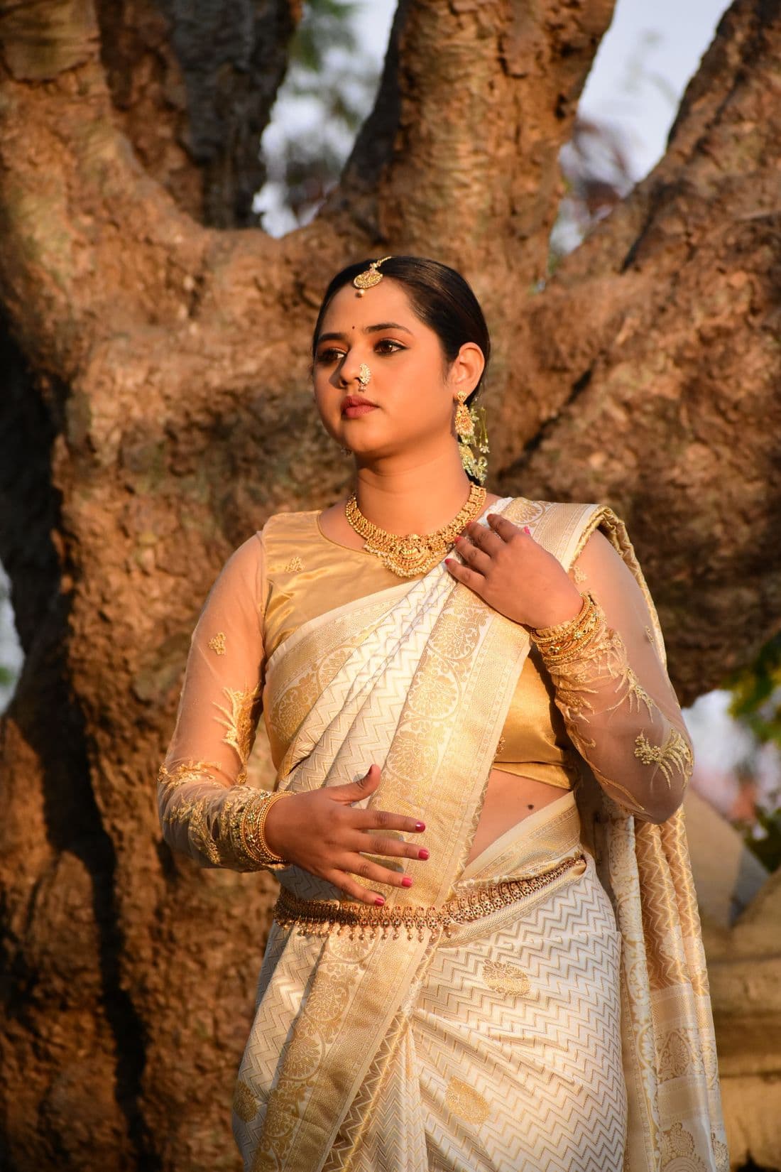 Nilambari Zari Katan — Katan Silk saree